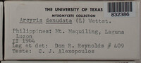 Arcyria denudata image